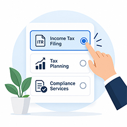 Choose an income tax service